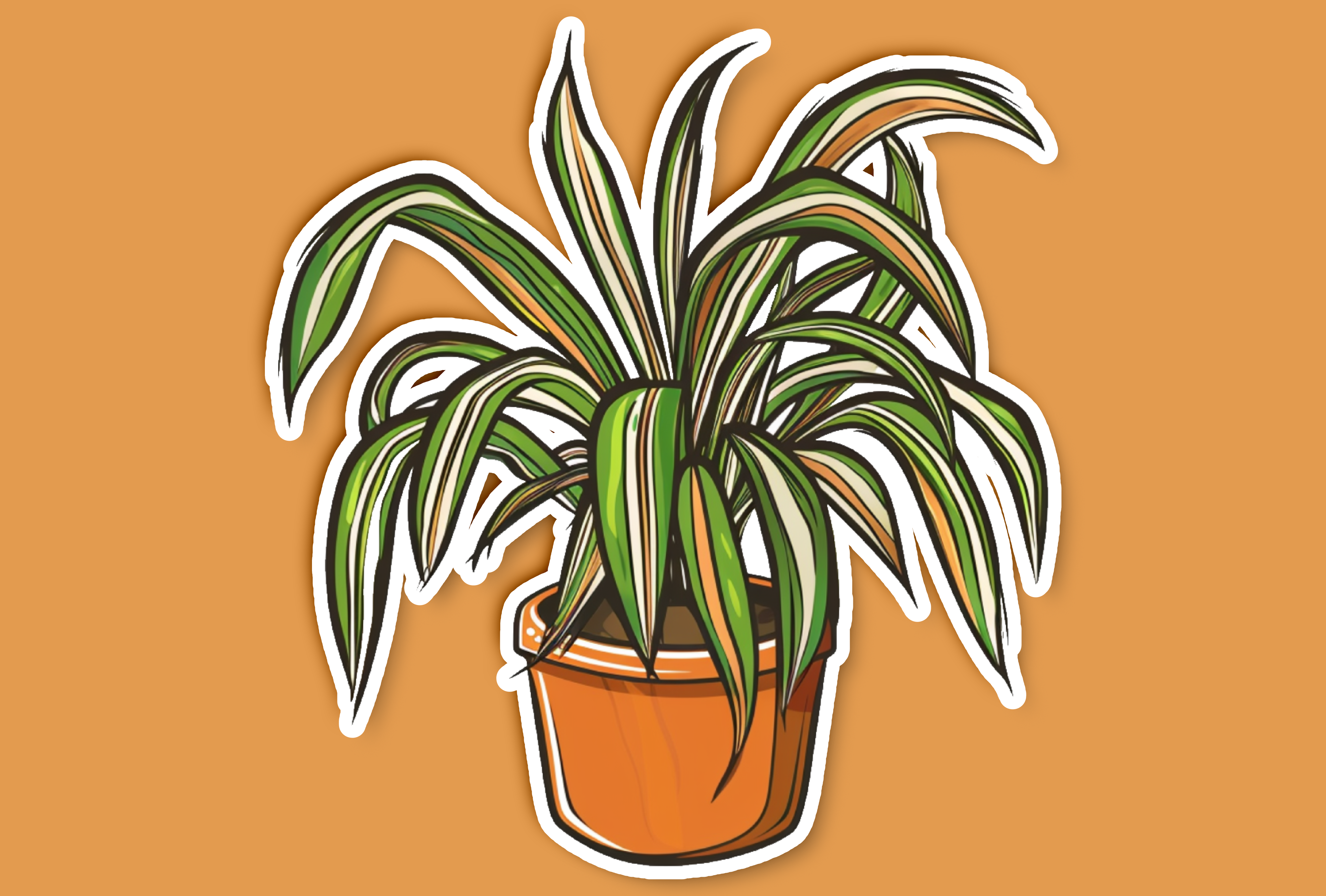 spider plant cartoon Cartoon Spider Plant Sticker – Get Real Stickers