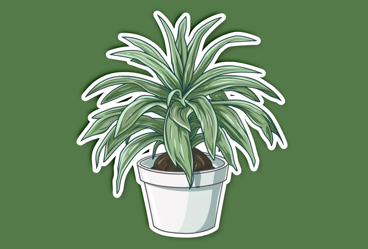 Simplistic Spider Plant Sticker