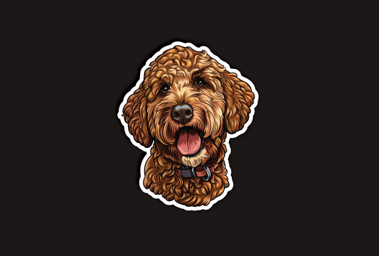 Attentive Goldendoodle Sticker