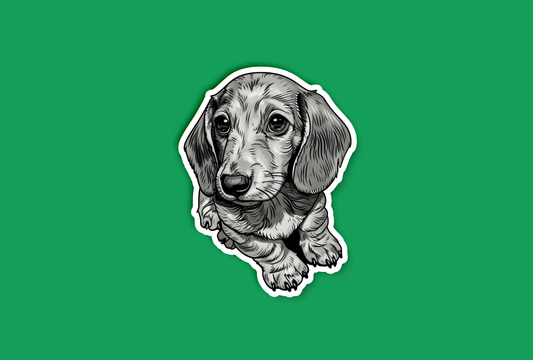 Black and White Dachshund Puppy Dog Sticker