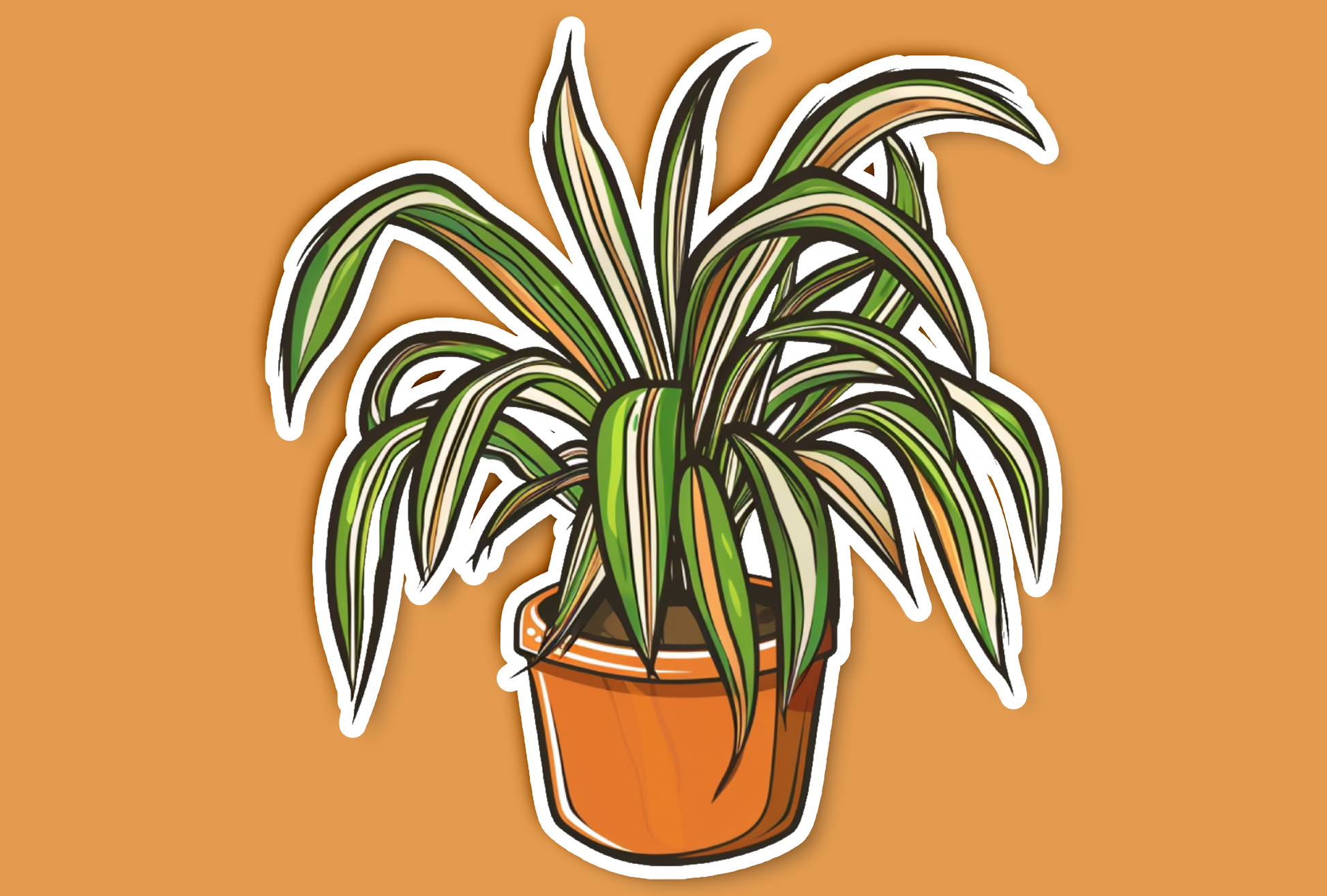 spider plant illustration Cartoon Spider Plant Sticker – Get Real Stickers