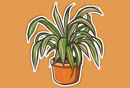 Cartoon Spider Plant Sticker