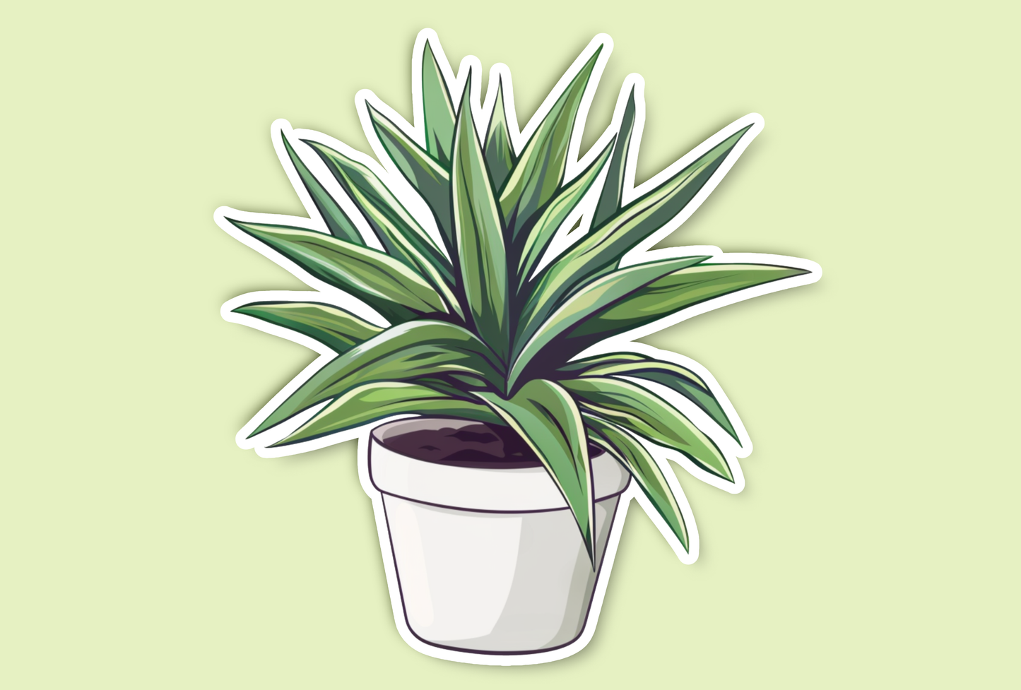 Modern Spider Plant Sticker