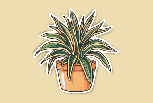 Simple Spider Plant Sticker