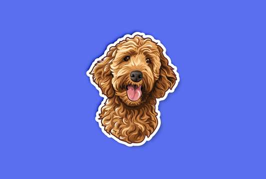 Time for a Walk Goldendoodle Sticker